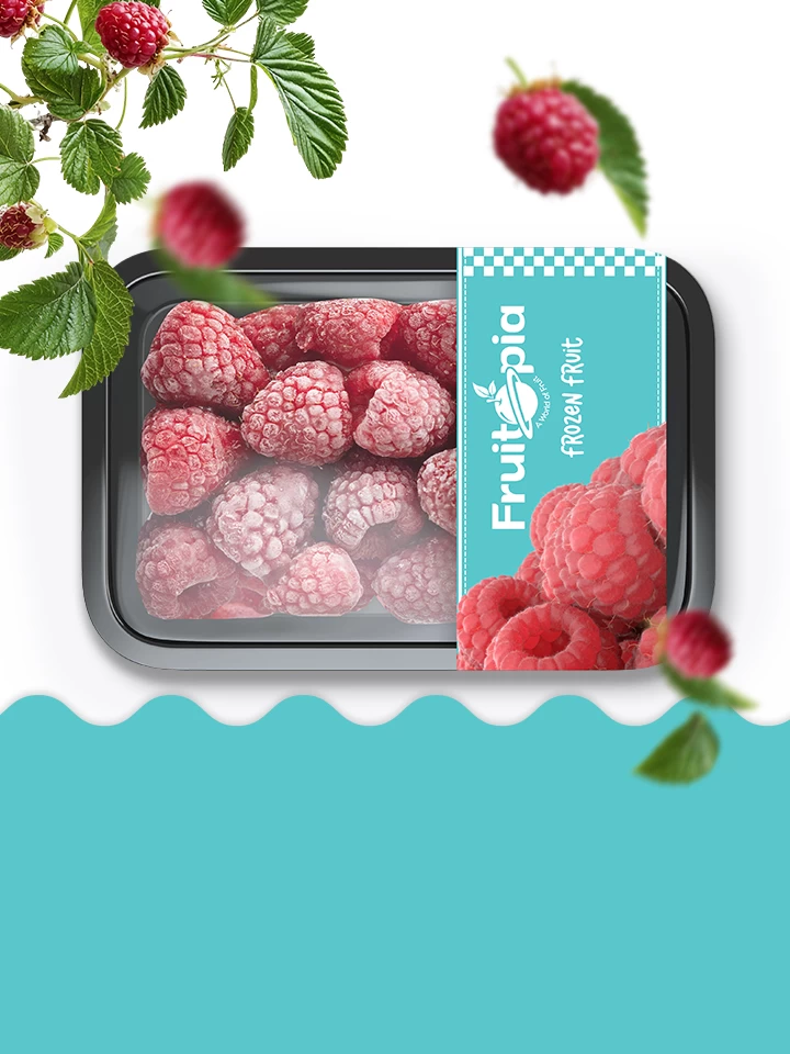 Dondurulmuş Meyve ve Sebzeler