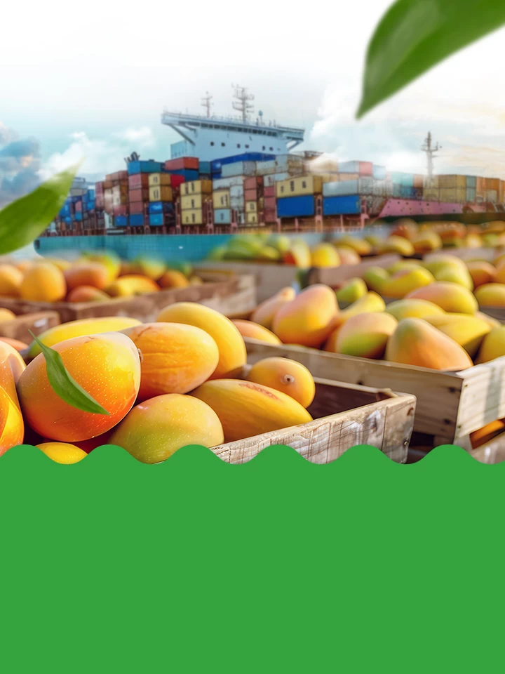 Çıkış noktamız: Lezzet